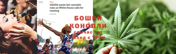 PSILOCYBIN Коряжма
