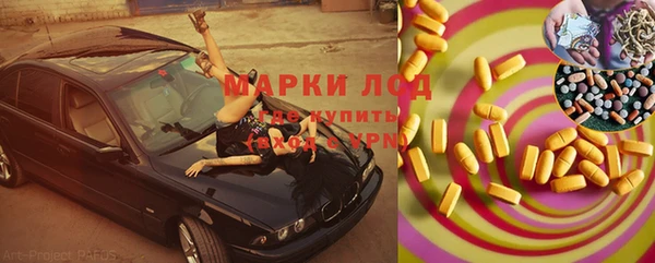 гашик Краснослободск