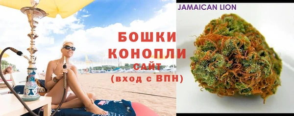 PSILOCYBIN Коряжма