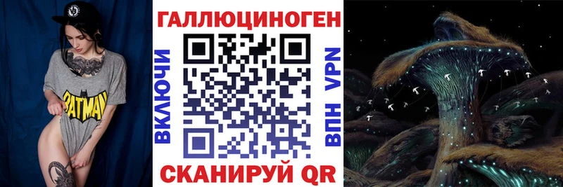 kraken сайт  Курчатов  Галлюциногенные грибы Cubensis  где купить  